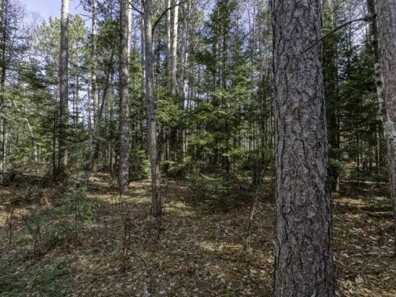 Off Sanctuary Dr, , Presque Isle,  WI 54557
