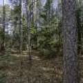 Off Sanctuary Dr, , Presque Isle,  WI 54557