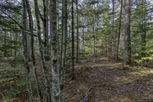 Off Sanctuary Dr, , Presque Isle,  WI 54557