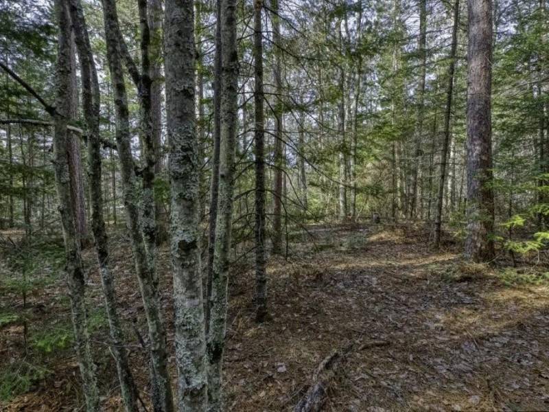 Off Sanctuary Dr, , Presque Isle,  WI 54557
