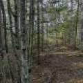 Off Sanctuary Dr, , Presque Isle,  WI 54557