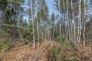 Off Sanctuary Dr, , Presque Isle,  WI 54557