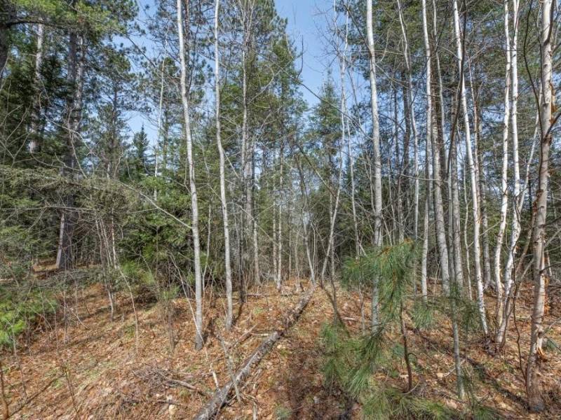Off Sanctuary Dr, , Presque Isle,  WI 54557