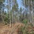 Off Sanctuary Dr, , Presque Isle,  WI 54557