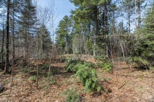 Off Sanctuary Dr, , Presque Isle,  WI 54557