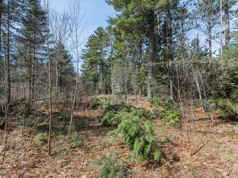 Off Sanctuary Dr, , Presque Isle,  WI 54557