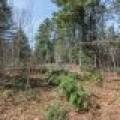Off Sanctuary Dr, , Presque Isle,  WI 54557