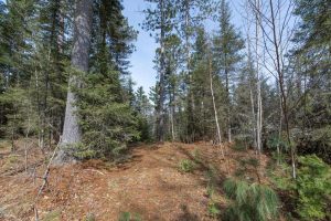 Off Sanctuary Dr, , Presque Isle,  WI 54557