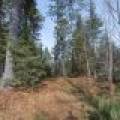 Off Sanctuary Dr, , Presque Isle,  WI 54557