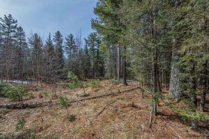 Off Sanctuary Dr, , Presque Isle,  WI 54557