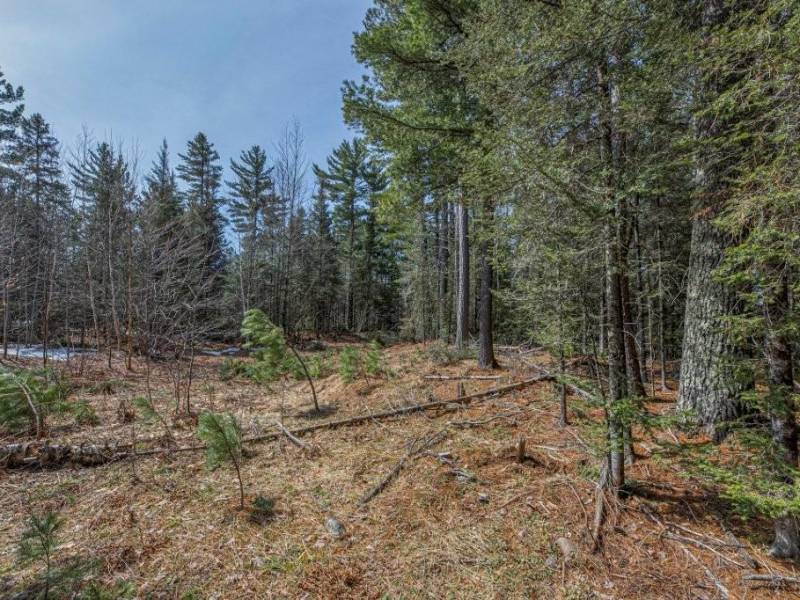 Off Sanctuary Dr, , Presque Isle,  WI 54557