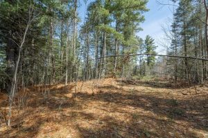 Off Sanctuary Dr, , Presque Isle,  WI 54557
