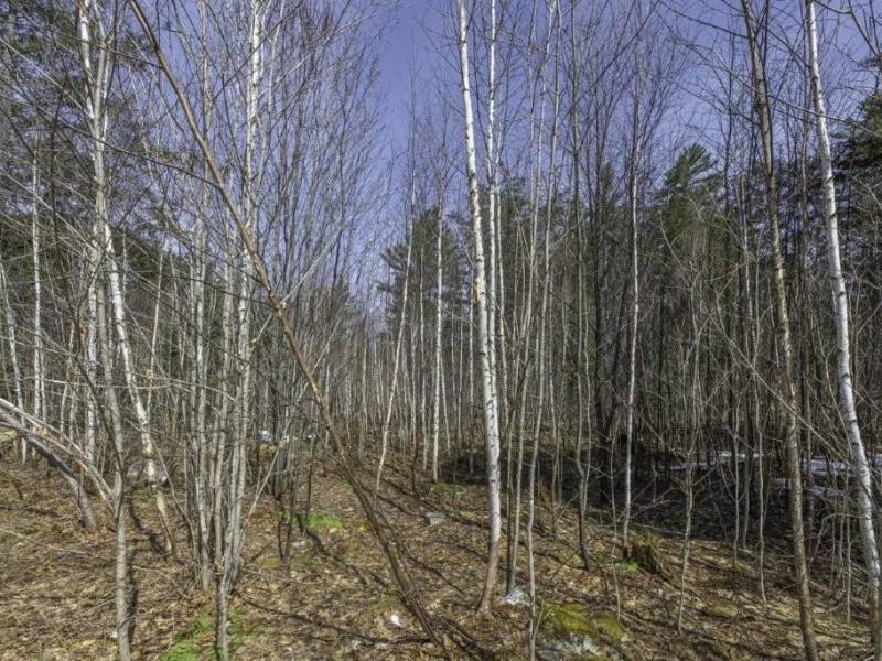 Off Sanctuary Dr, , Presque Isle,  WI 54557