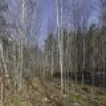 Off Sanctuary Dr, , Presque Isle,  WI 54557