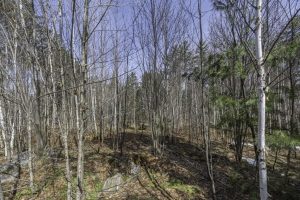 Off Sanctuary Dr, , Presque Isle,  WI 54557