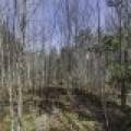 Off Sanctuary Dr, , Presque Isle,  WI 54557