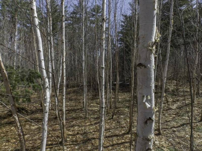 Off Sanctuary Dr, , Presque Isle,  WI 54557