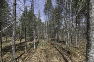 Off Sanctuary Dr, , Presque Isle,  WI 54557