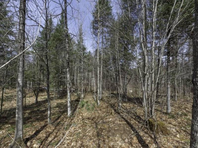 Off Sanctuary Dr, , Presque Isle,  WI 54557
