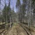 Off Sanctuary Dr, , Presque Isle,  WI 54557
