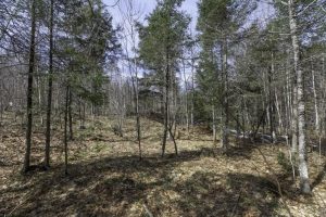 Off Sanctuary Dr, , Presque Isle,  WI 54557
