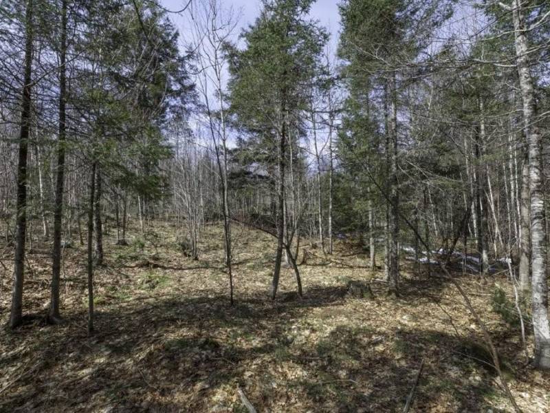 Off Sanctuary Dr, , Presque Isle,  WI 54557