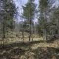 Off Sanctuary Dr, , Presque Isle,  WI 54557