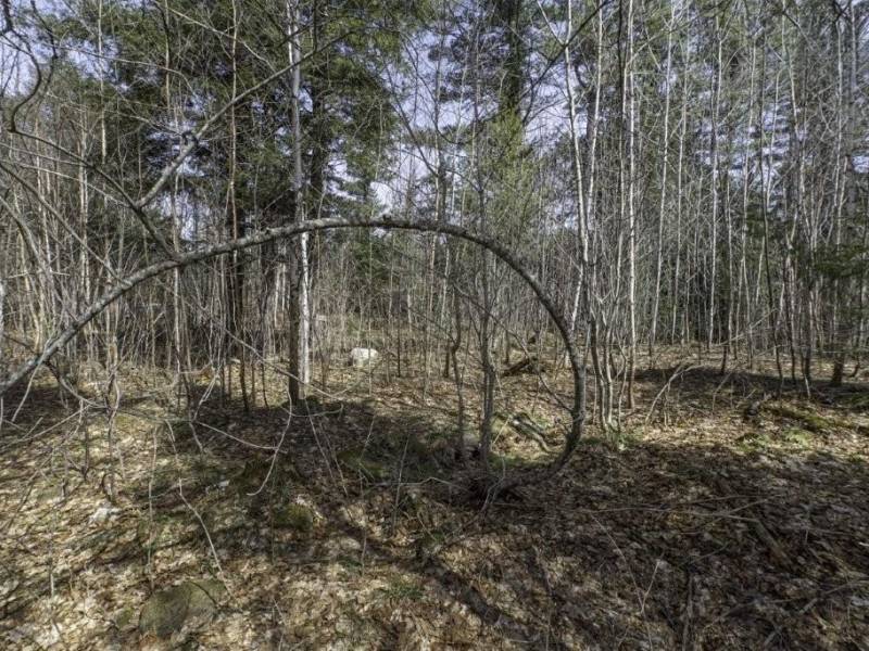 Off Sanctuary Dr, , Presque Isle,  WI 54557