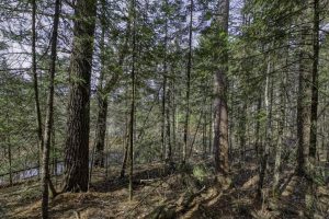 Off Sanctuary Dr, , Presque Isle,  WI 54557
