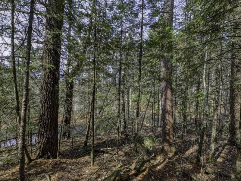 Off Sanctuary Dr, , Presque Isle,  WI 54557