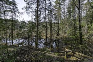 Off Sanctuary Dr, , Presque Isle,  WI 54557