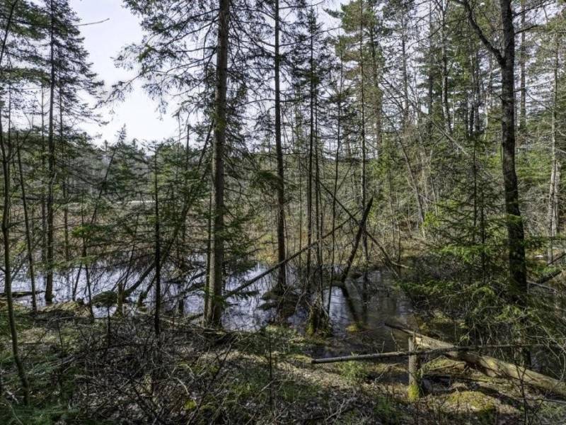 Off Sanctuary Dr, , Presque Isle,  WI 54557