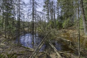 Off Sanctuary Dr, , Presque Isle,  WI 54557