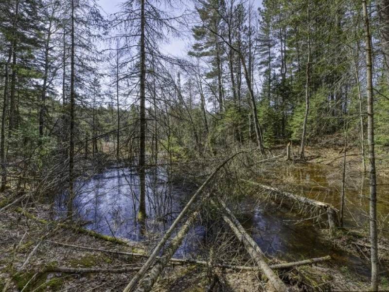 Off Sanctuary Dr, , Presque Isle,  WI 54557