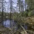 Off Sanctuary Dr, , Presque Isle,  WI 54557