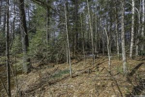 Off Sanctuary Dr, , Presque Isle,  WI 54557