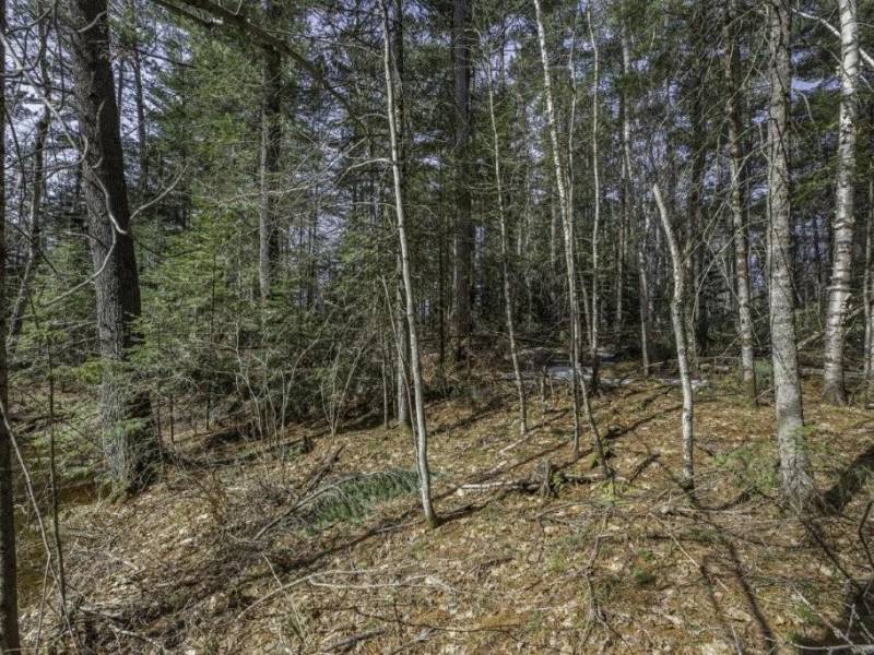 Off Sanctuary Dr, , Presque Isle,  WI 54557