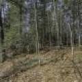 Off Sanctuary Dr, , Presque Isle,  WI 54557