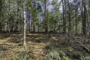 Off Sanctuary Dr, , Presque Isle,  WI 54557
