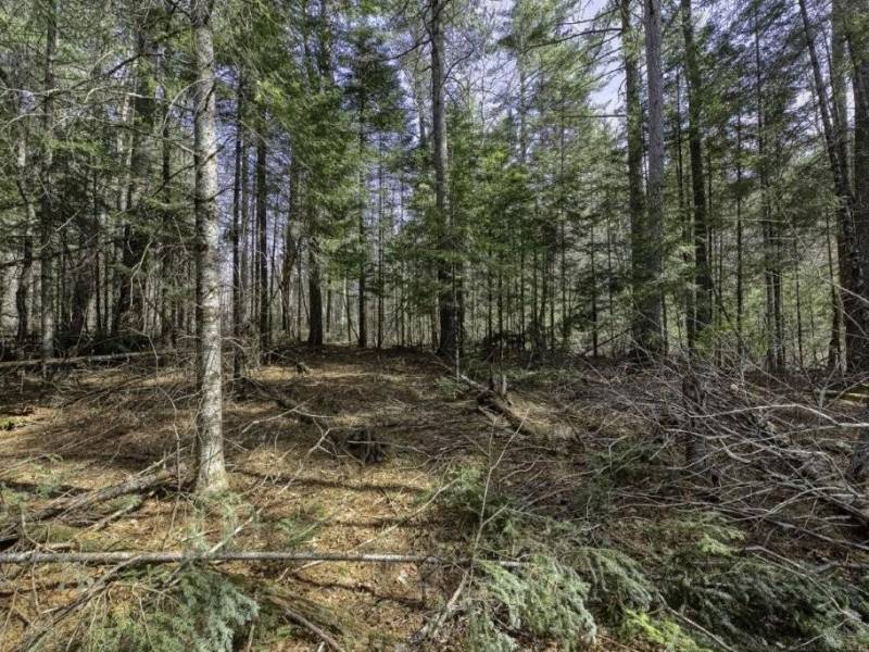 Off Sanctuary Dr, , Presque Isle,  WI 54557