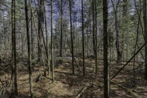 Off Sanctuary Dr, , Presque Isle,  WI 54557