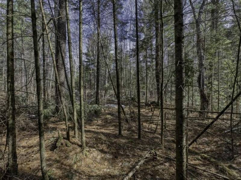 Off Sanctuary Dr, , Presque Isle,  WI 54557