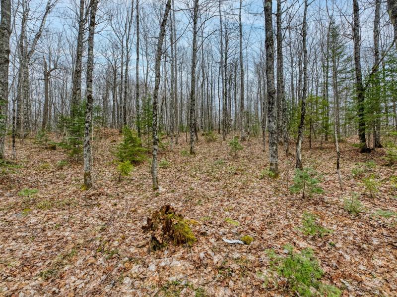 Whole - Off Johnson Ln, , Wnchester,  WI 54557