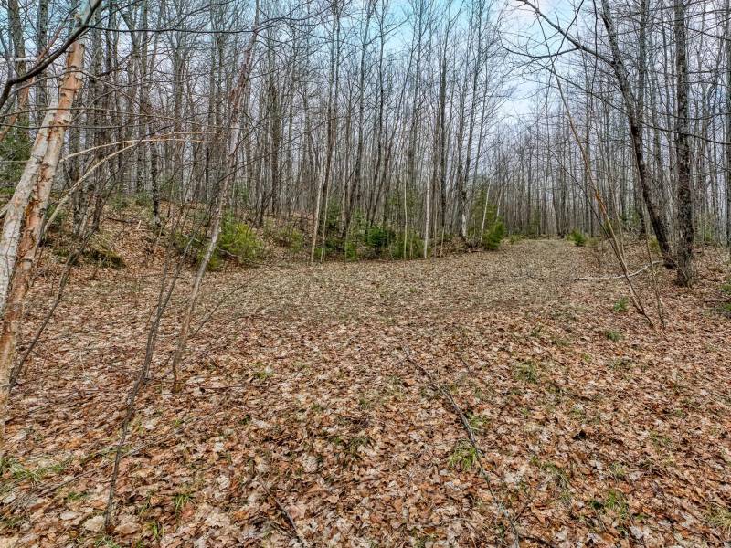 Whole - Off Johnson Ln, , Wnchester,  WI 54557