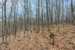 Whole - Off Johnson Ln, , Wnchester,  WI 54557