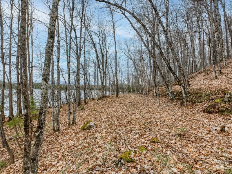 Whole - Off Johnson Ln, , Wnchester,  WI 54557