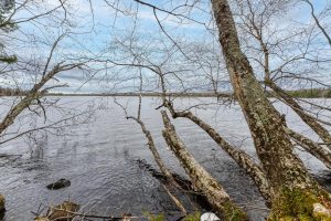 Whole - Off Johnson Ln, , Wnchester,  WI 54557