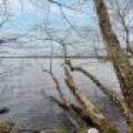 Whole - Off Johnson Ln, , Wnchester,  WI 54557
