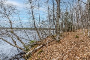 Whole - Off Johnson Ln, , Wnchester,  WI 54557