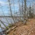 Whole - Off Johnson Ln, , Wnchester,  WI 54557